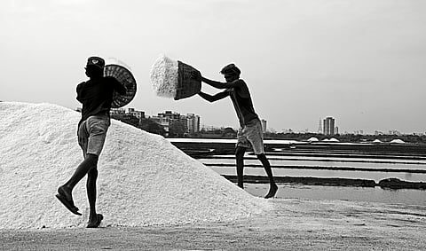 Daily drudgery for a daily ingredient: For salt pan workers, occupational hazards are as pervasive as the sea