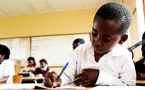 Education a key driving force for Africa’s prosperity: World Bank report