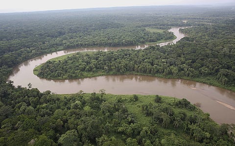 DTE at COP16: The world’s most bio-diverse areas are threatened by extractive industries, says report