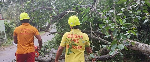 Cyclone Dana may turn more severe, recurve after landfall