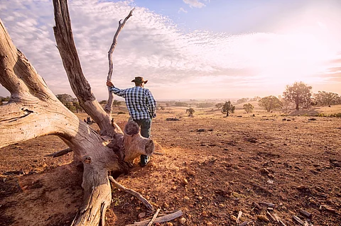 To avoid severe climate impacts, countries would need to achieve a 43 per cent reduction by 2030.