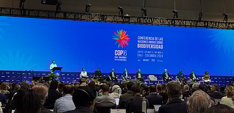 DTE at COP16: Country heads, ministers to discuss climate change-biodiversity nexus at two-day High-Level Meeting