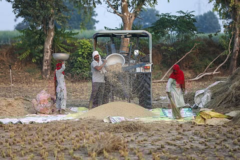 Small farmers show the way out of stubble burning menace