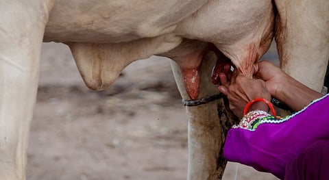 WAAW 2024: Lack of community engagement is a major shortcoming of the AMR business model