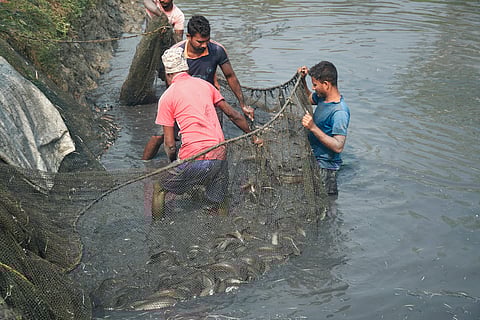 WAAW 2024: A multifaceted approach is needed to combat AMR in Indian aquaculture
