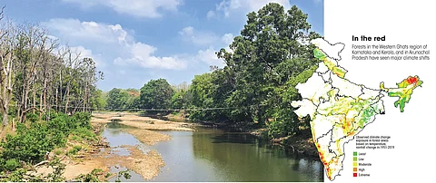 Troubled woods: How the Western Ghats have changed due to global warming