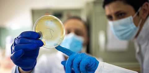 WAAW 2024: The world needs robust antimicrobial resistance surveillance systems