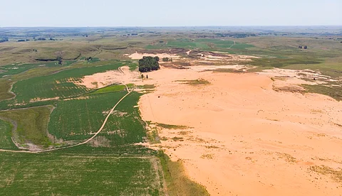 Earth’s desertification emergency: Unprecedented land degradation now threatens Earth’s capacity to sustain humanity