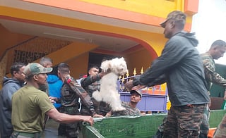 DTE Coverage: Complete trajectory of Cyclone Fengal