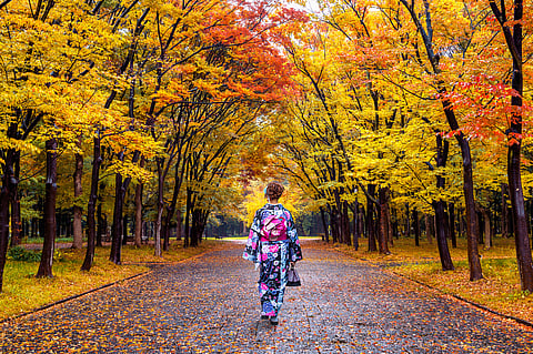 After posting hottest summers, Japan now registers warmest autumn ever recorded