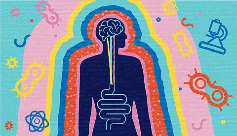 According to scientists, the gut microbe helps shape host energy allocation patterns across host species