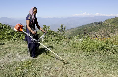 NF is a chemical-free farming practice that aims at improving soil health, reducing farmers’ input costs and enhancing climate resilience