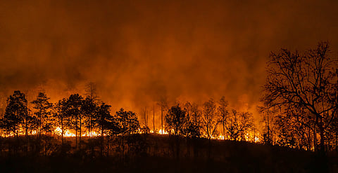 Lessons from Indonesia, Peru on forest fire management involving local communities to be included in new guidelines: ITTO