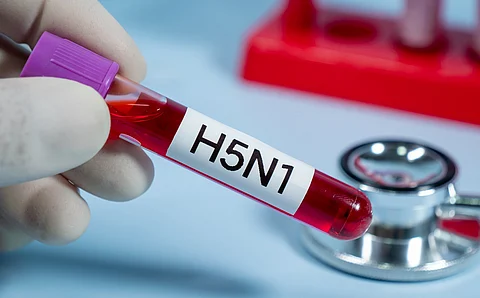 Bird flu: One mutation is all that remains before the H5N1 virus spreads from human-to-human