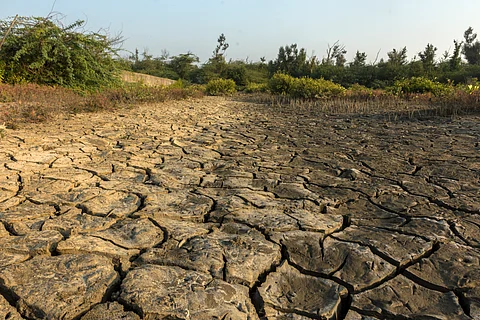 The transition of humid landscapes into drylands has dire implications for agriculture, ecosystems and the livelihoods of those dependent on these regions