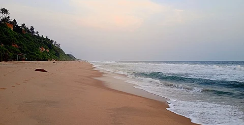 Varkala Cliff, a Kerala cultural icon & geo-heritage site, is fading away; here is why