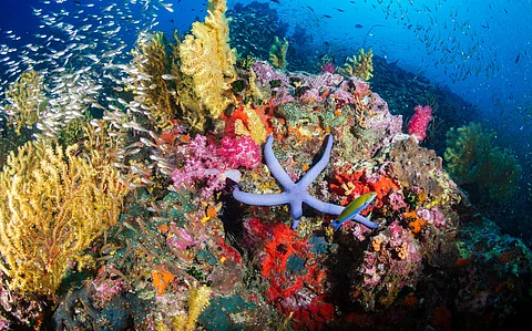 IPBES Transformative Change Report provides options to halt biodiversity collapse