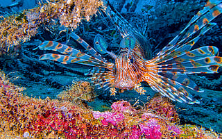 DTE Coverage: IPBES Transformative Change Report