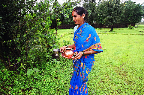 Nature’s temples: SC’s order to protect sacred groves soothes believers and conservators
