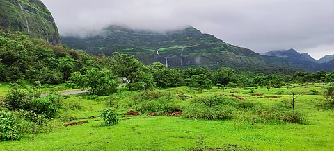 Western Ghats lost 58 sq km of forest cover since 2013: SOFR 2023