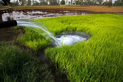 The study also highlighted significant arsenic contamination in groundwater, which is a key source of irrigation in these regions