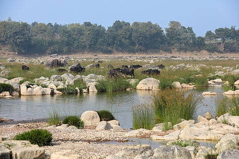 Ken-Betwa linking project kicks off as PM Modi lays foundation stone