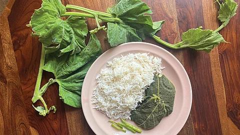 Bottle gourd leaves are used to steam food as they are large and can be easily made into a parcel