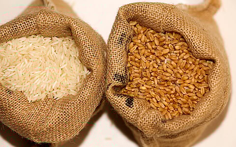 India’s puzzling cereal gap