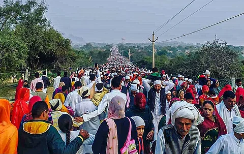 New book relates the story of the Bishnoi, the world’s first eco-warriors