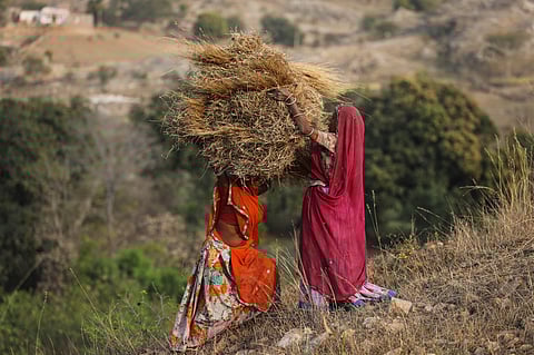 The agriculture sector contributed 406 MtCO₂e of GHG emissions in 2020, representing 13.72 per cent of overall emissions