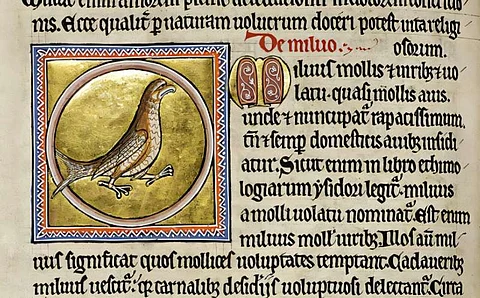 Birds of prey in Medieval Britain adapted to scavenging from waste dumps: Study