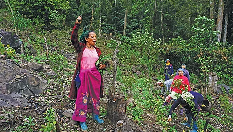 Ogak Boko, the head of Komkar village in Arunachal Pradesh’s Upper Siang district, fears that the reservoir of the proposed dam on the Siang river will submerge the village (Photographs: Anupam Chakravartty)