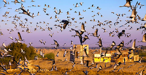 SC judgement on ‘orans’ a step forward, with some risks