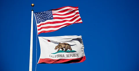 Bear Flag State: The story of the ursid emblazoned on California’s standard