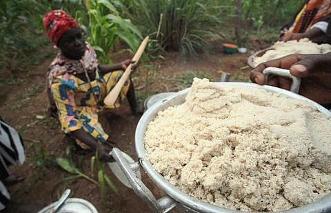 Fonio, an ancient African millet, is going places