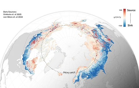 Average terrestrial carbon dioxide balance from 2001–2020 in the Arctic