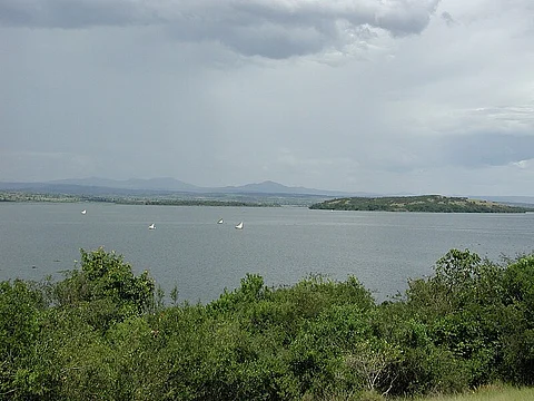 New study links Lake Victoria’s algal blooms to climate risks for US great lakes