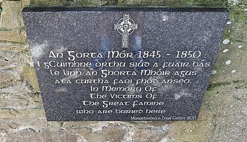 It is official: The pathogen responsible for the Irish Potato Famine originated in the Andes, says study