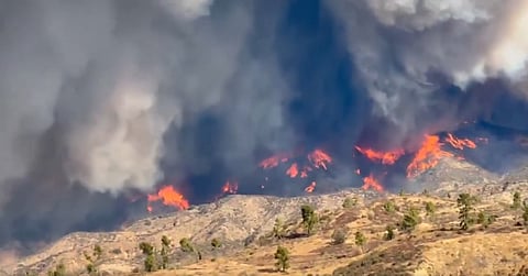 Screengrab of a brush fire in LA.