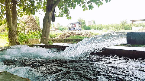 Groundwater pumped for paddy farms in Saharanpur, a western UP district overexploiting its reserves