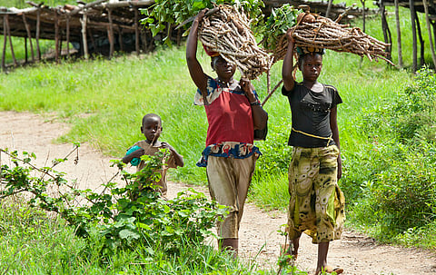 Burundi is losing its trees: how to break heavy charcoal use and tree clearing through climate reforms
