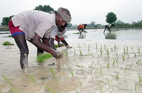 Economic Survey 2025: Employment increased in agriculture sector, decreased in manufacturing and services