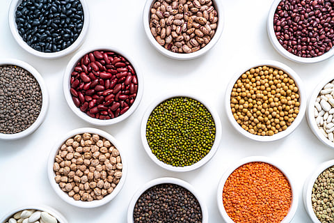 One of the initiatives announced by Finance Minister Nirmala Sitharaman in the Budget 2025-26 is the proposal for self-sufficiency in pulse production. Pulses, rich in protein, are an essential part of a balanced diet and also benefit soil health