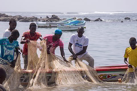 By 2050, Africa’s aquatic food supply must grow by 74% to maintain current per capita fish consumption levels: Report