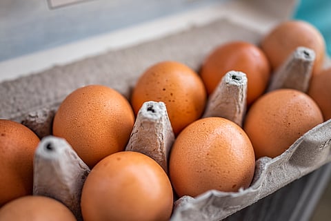 Eggs have been crucial to vaccine production for decades.