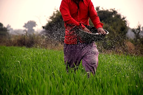 Global fertiliser use was at least twice the amount theoretically required to sustain food production, given the highly intensive nature of modern agriculture, the report highlighted.