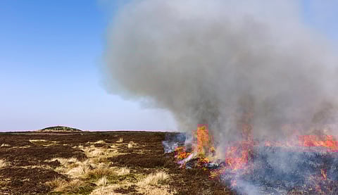 Peatland fires are driven by the combustion of soil organic carbon.
