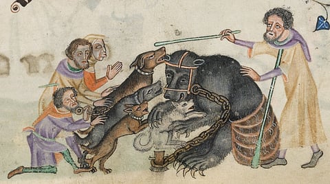 Crowds watching ‘King Lear’ & ‘Hamlet’ in Elizabethan London would also have seen brown bears & English Mastiffs fight each other to death