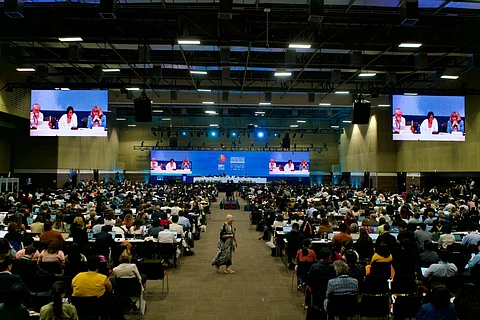 Delegates at the UN Biodiversity COP16, Cali, Colombia, November 2024.