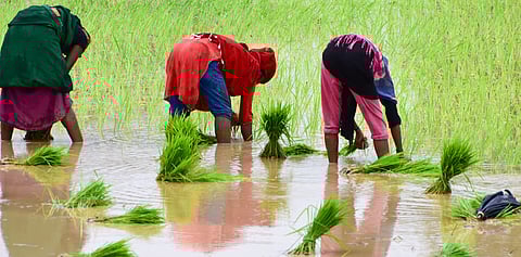 Strengthen safety net